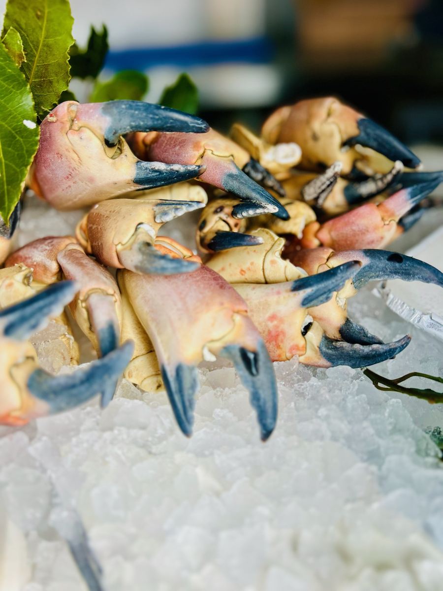 Jade-S Fisheries