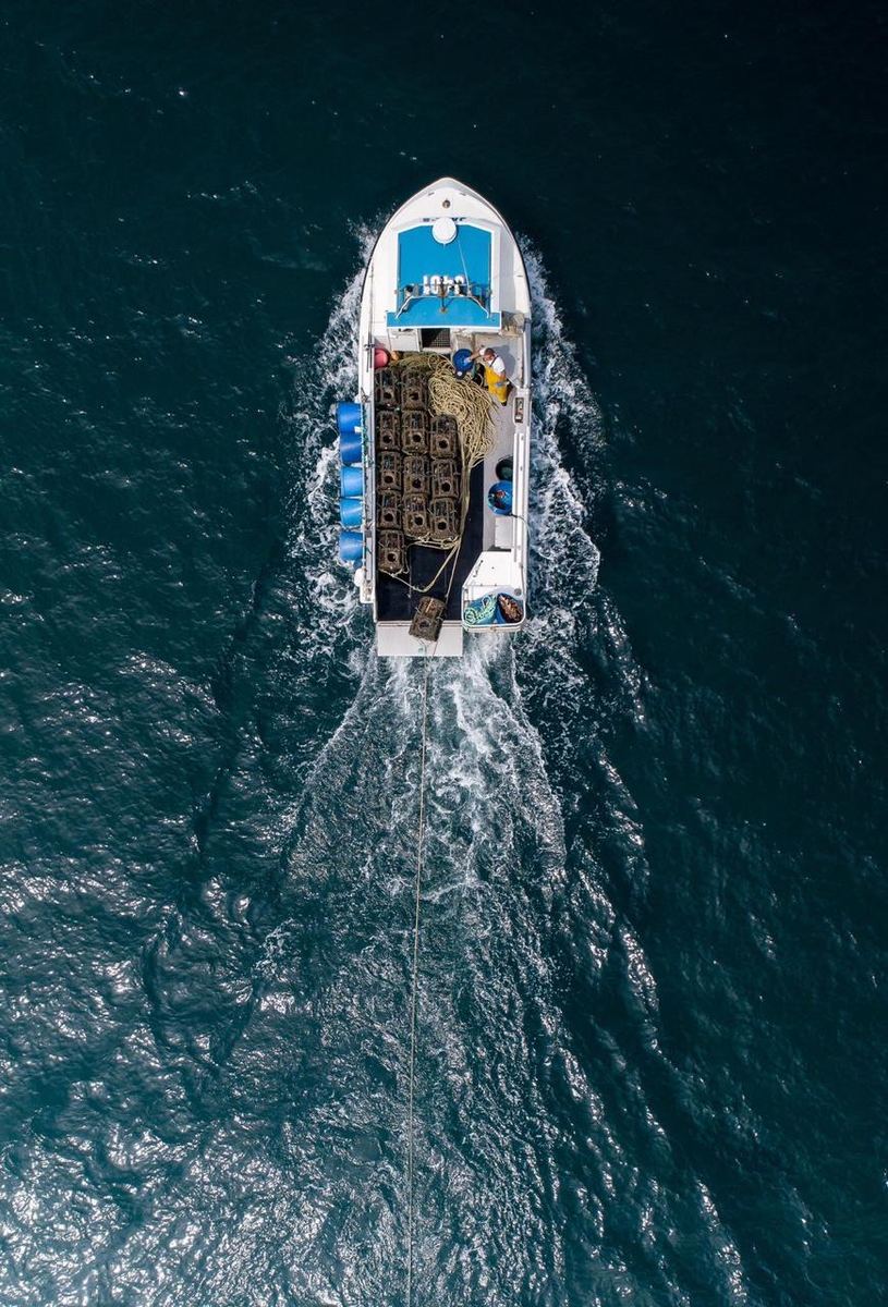 Jade-S Fisheries