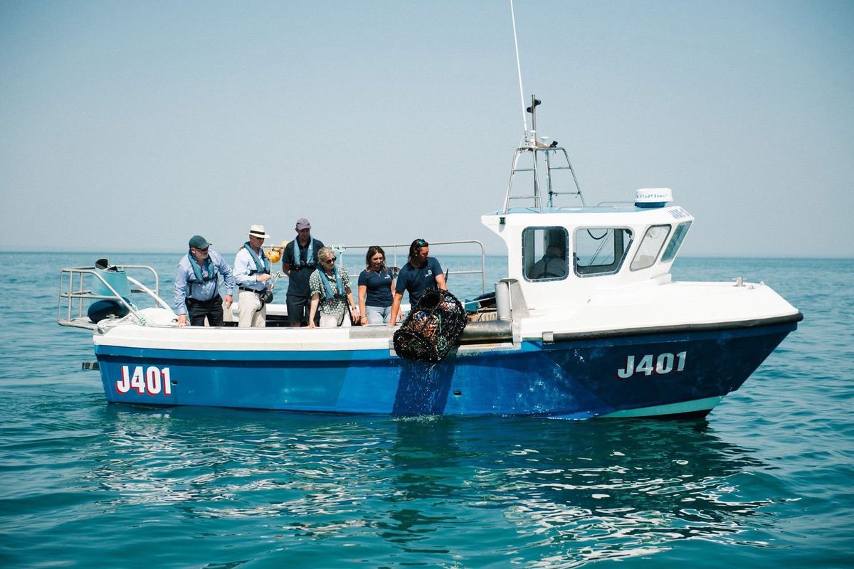 Jade-S Fisheries