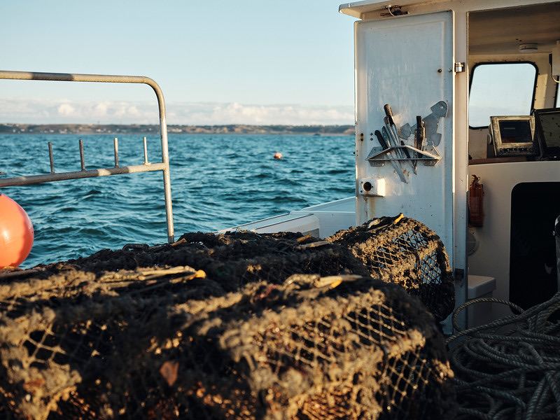 Jade-S Fisheries