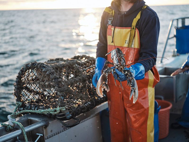 Jade-S Fisheries