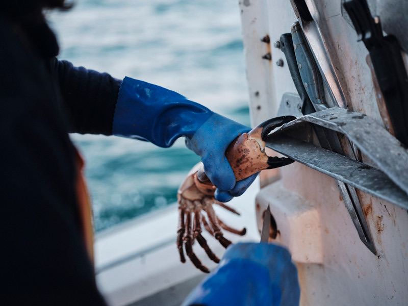 Jade-S Fisheries